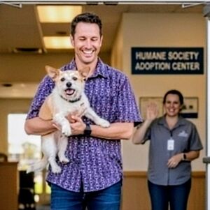 Vintage look VOLARE Silk blend Shirt Horsebit Print